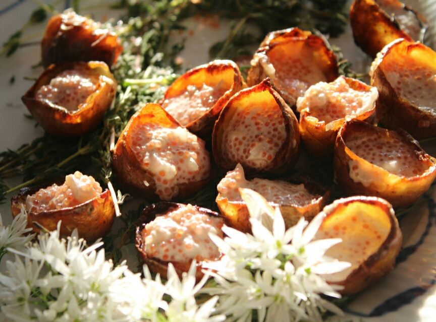 Kartoffelskind med stenbiderrogn, Foto: Thomas Aaby Berdal